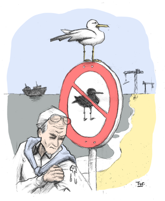 Mouette sur un panneau anti-mouettes