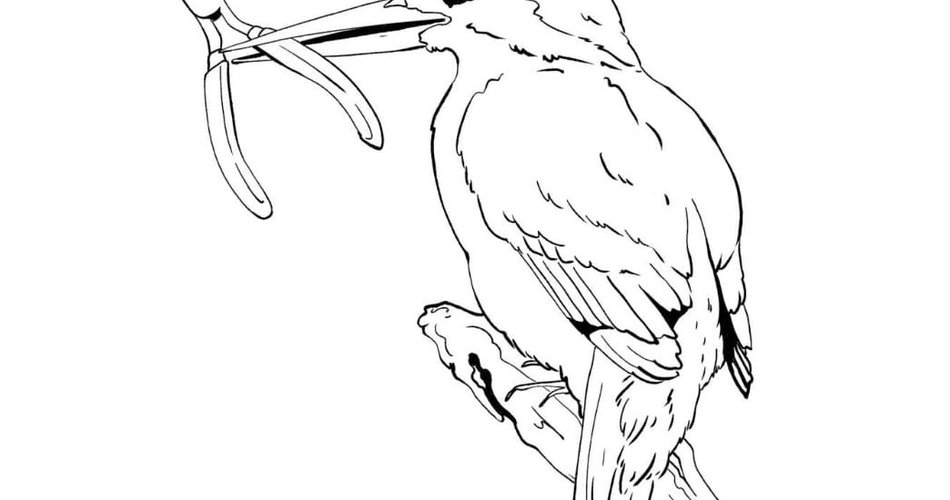 Oiseau tenant dans son bec une pince coupante.