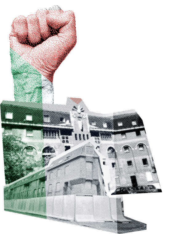 Roubaix Alma en lutte - Palestine