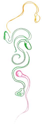 signal-2025-05-05-151512_002-removebg-preview