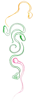 signal-2025-05-05-151512_002-removebg-preview